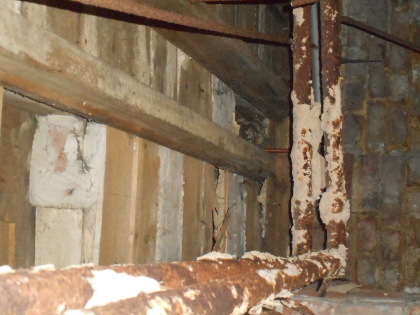 Asbestos in Victorian Mansion | Brian Gale Surveyors